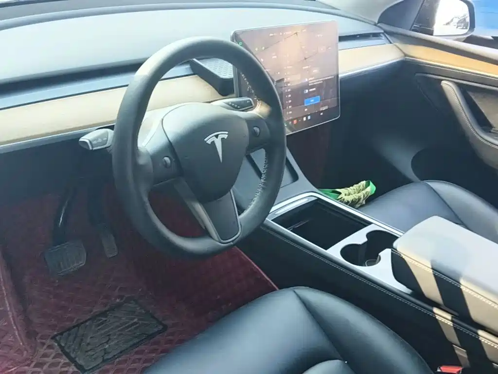 Tesla Model Y — фото 10