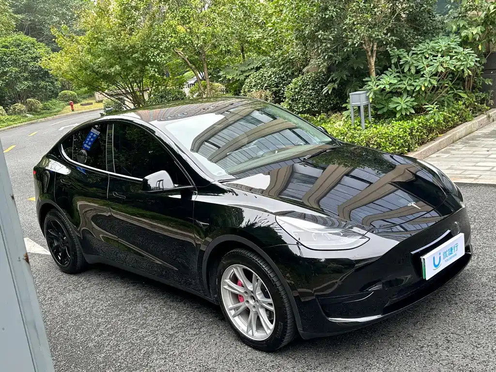 Tesla Model Y — фото 2