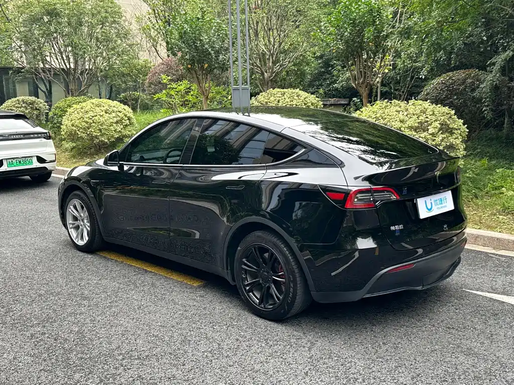 Tesla Model Y — фото 6