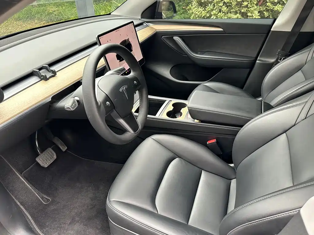 Tesla Model Y — фото 10