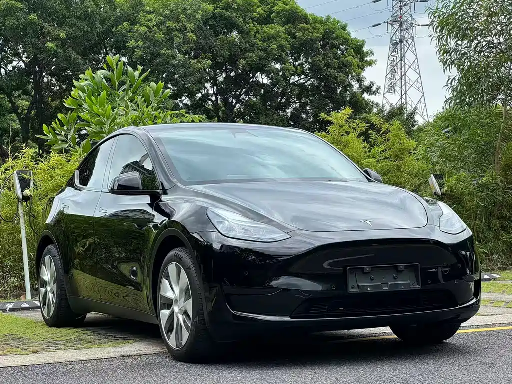 Tesla Model Y — фото 3