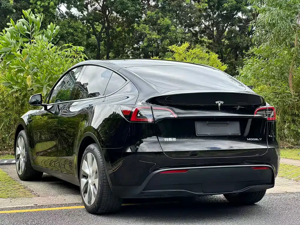 Tesla Model Y — фото 5