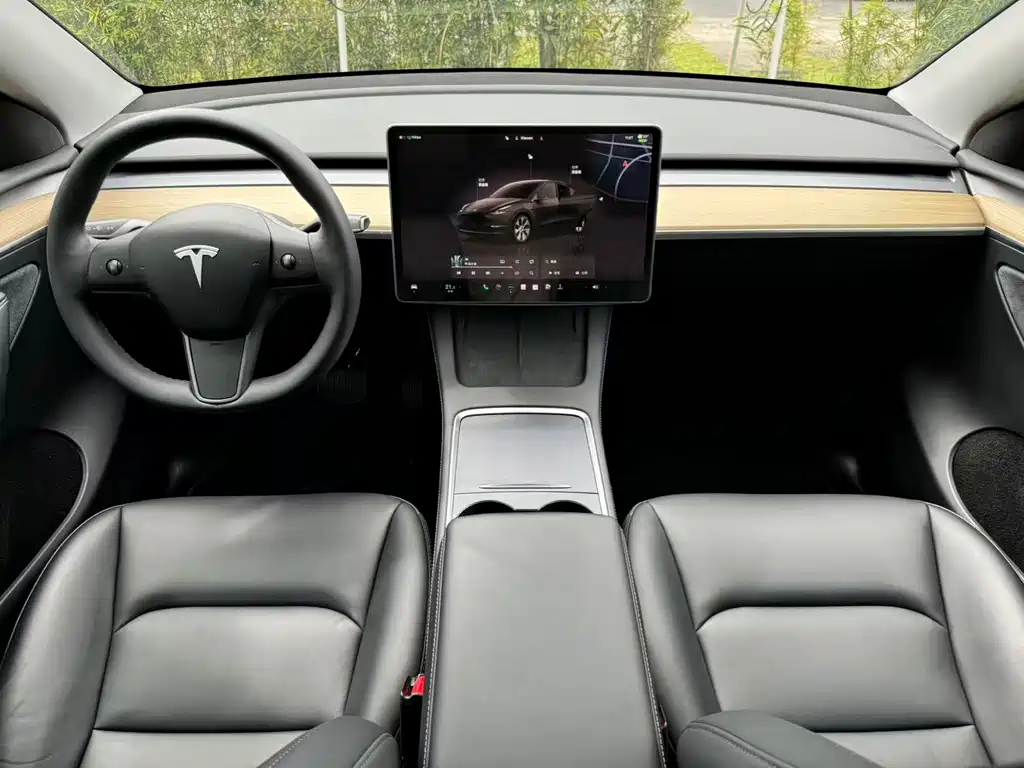 Tesla Model Y — фото 10