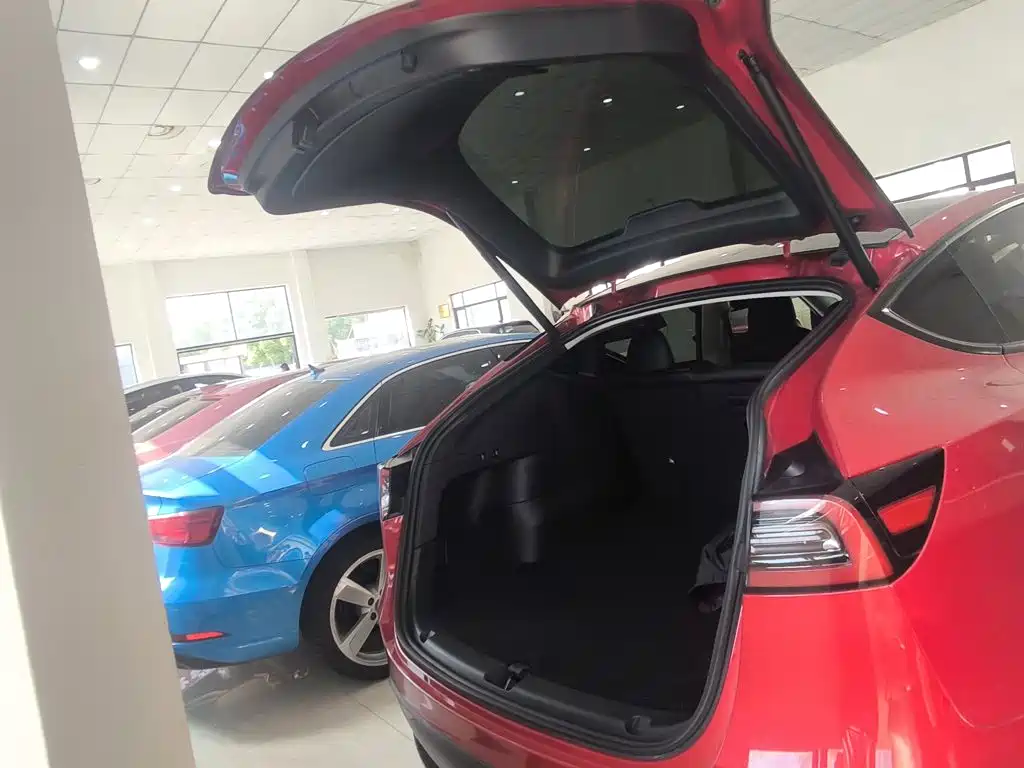 Tesla Model Y — фото 19