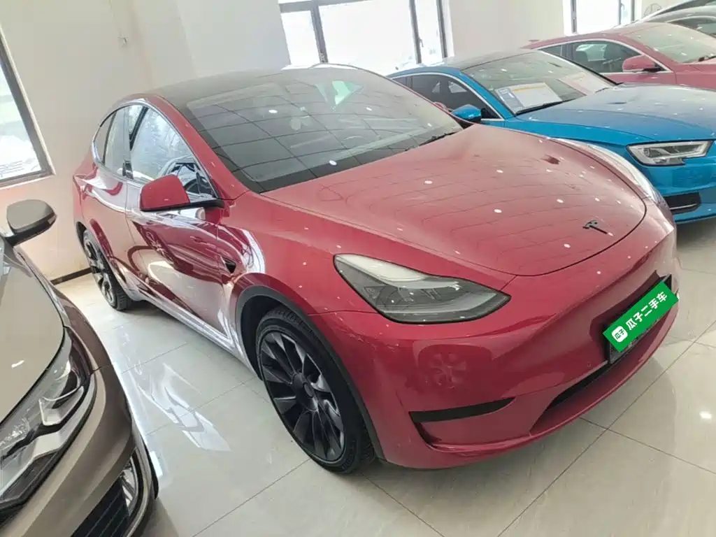 Tesla Model Y — фото 4