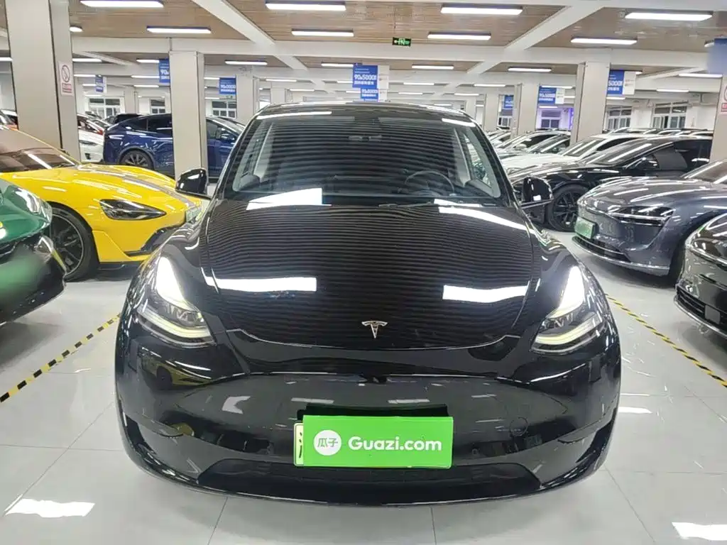 Tesla Model Y — фото 3