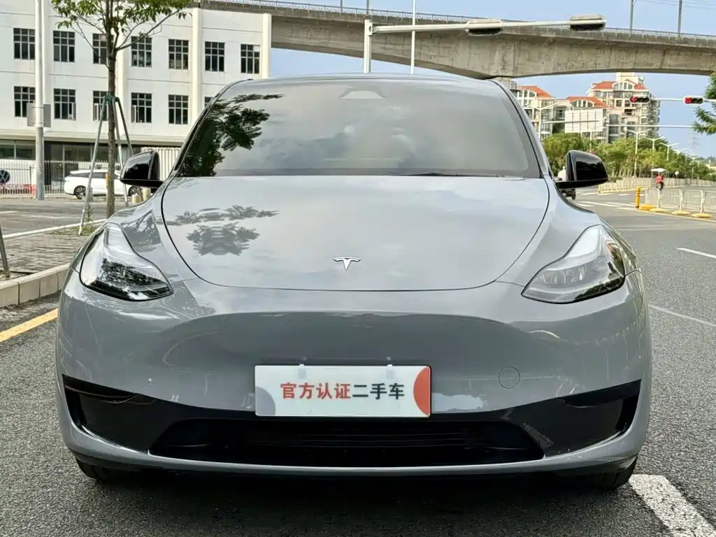 Tesla Model Y — фото 2