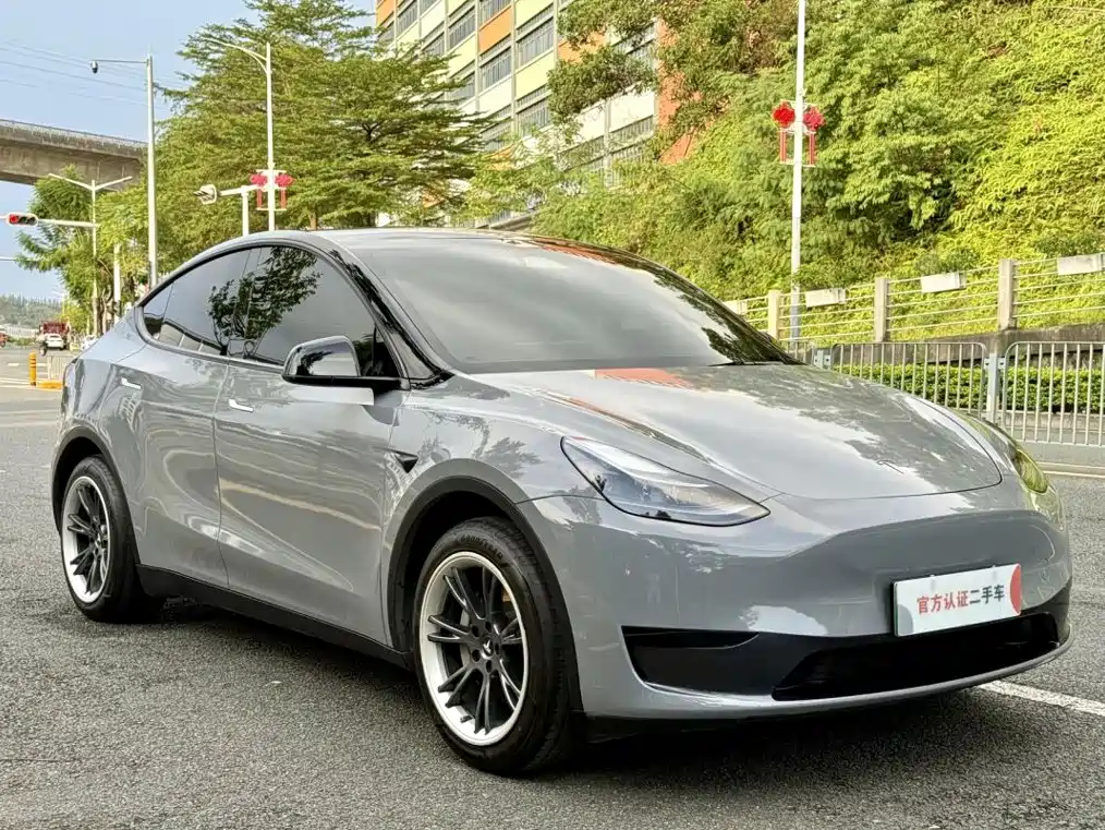 Tesla Model Y — фото 3
