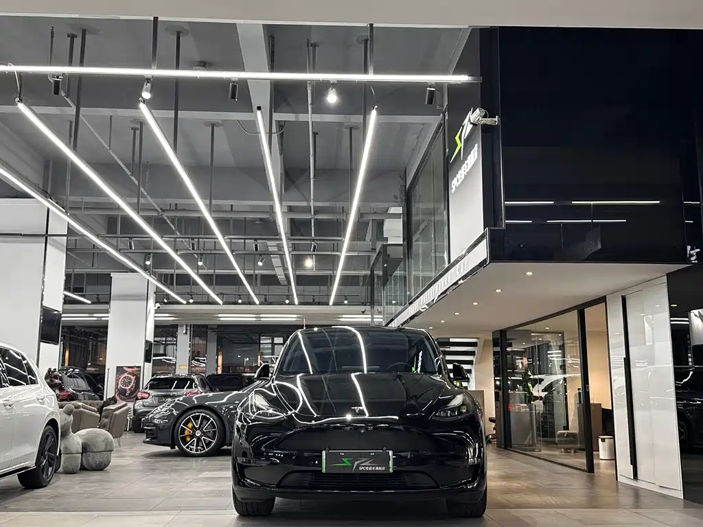 Tesla Model Y — фото 2