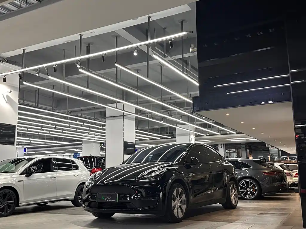 Tesla Model Y — фото 3