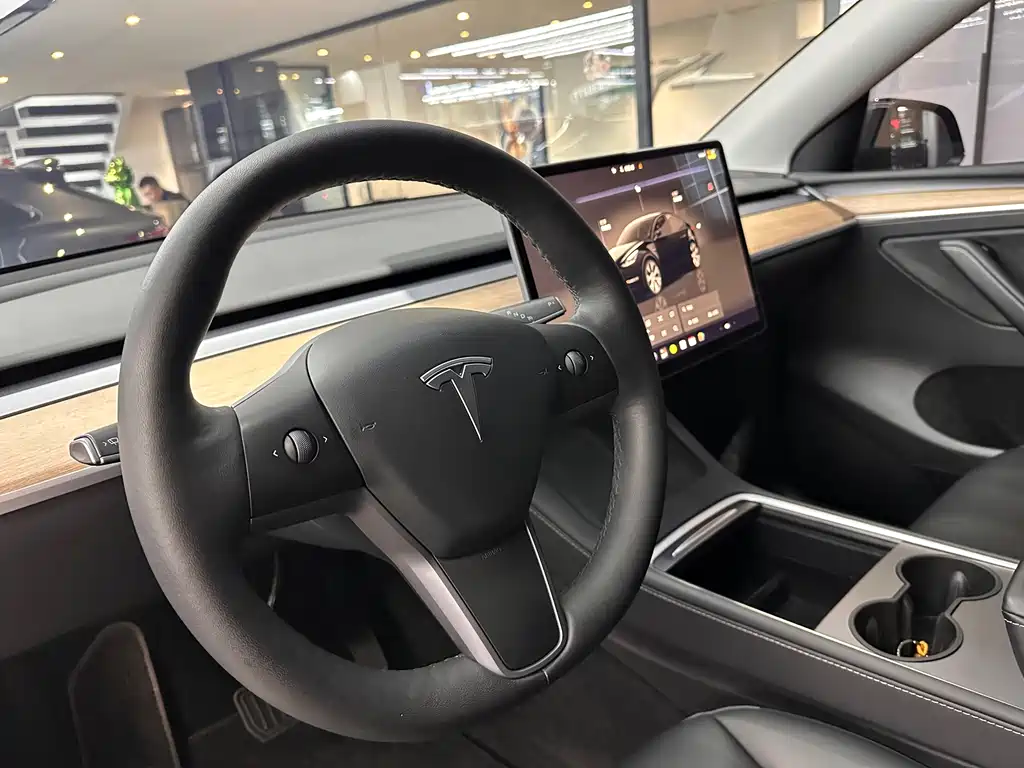 Tesla Model Y — фото 8