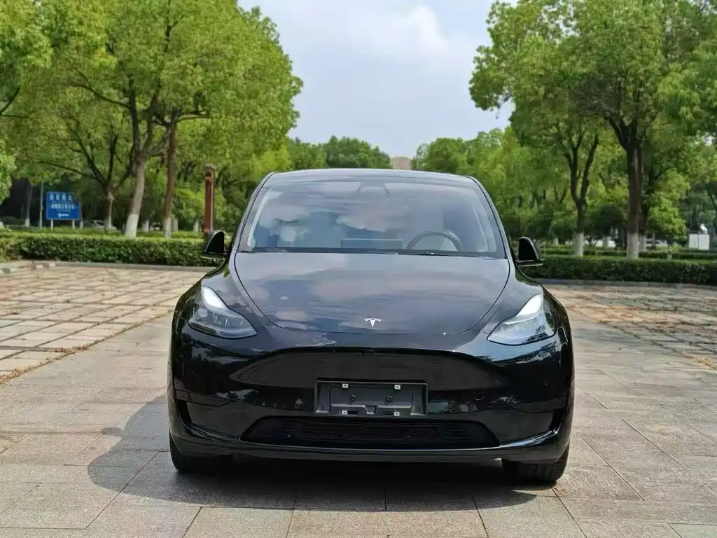 Tesla Model Y — фото 2