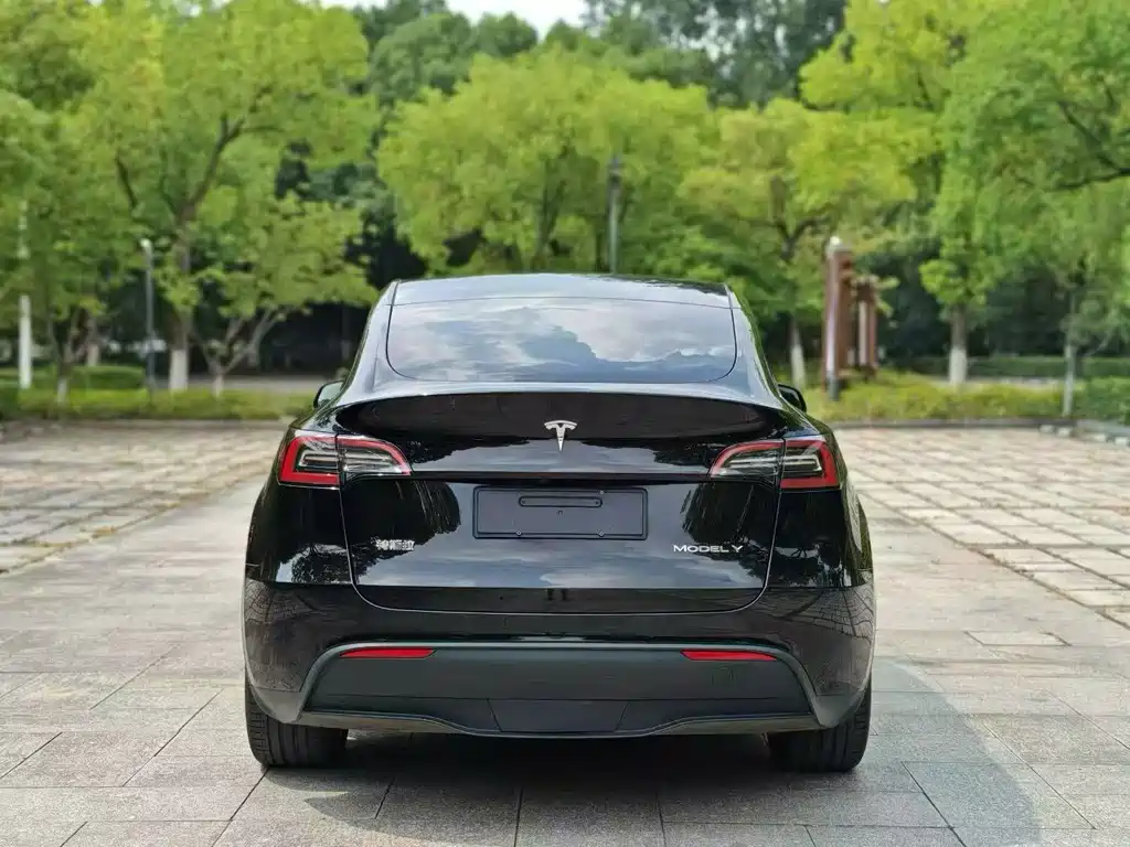 Tesla Model Y — фото 4
