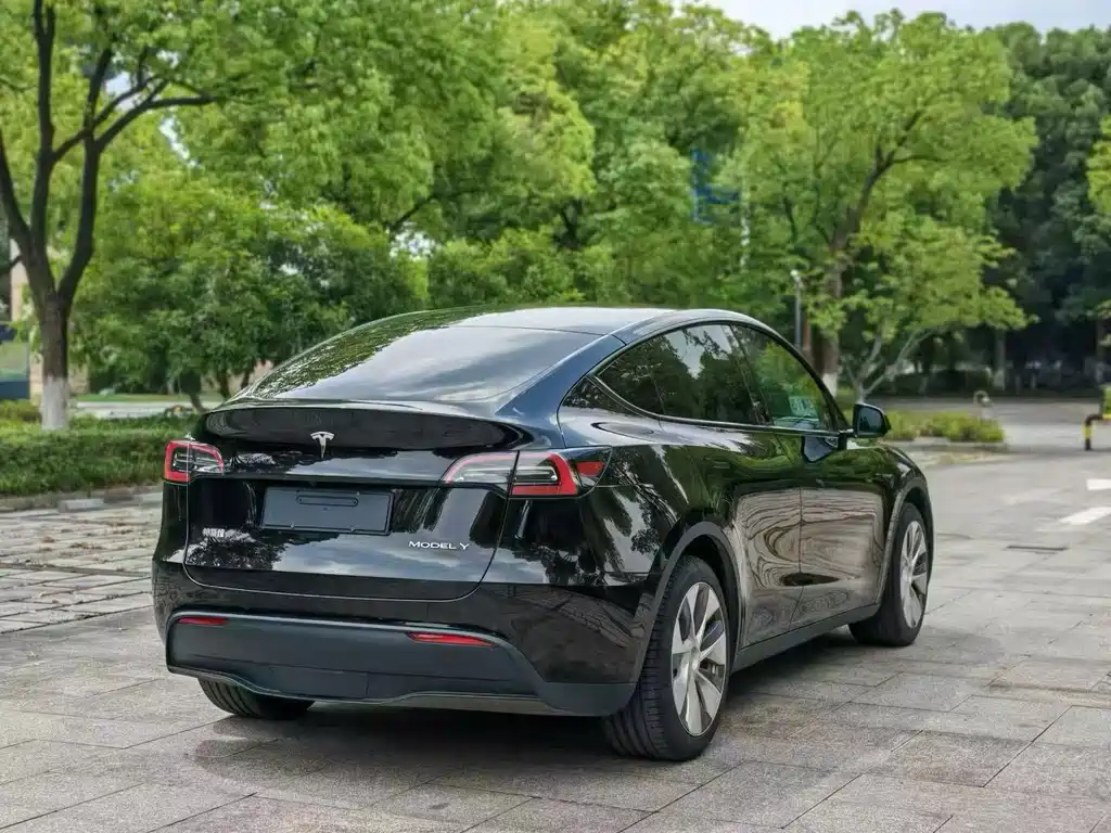 Tesla Model Y — фото 5
