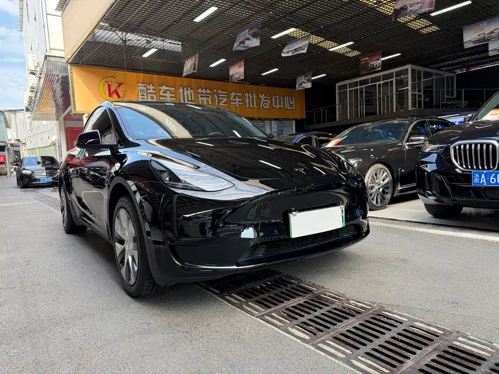 Tesla Model Y — фото 3
