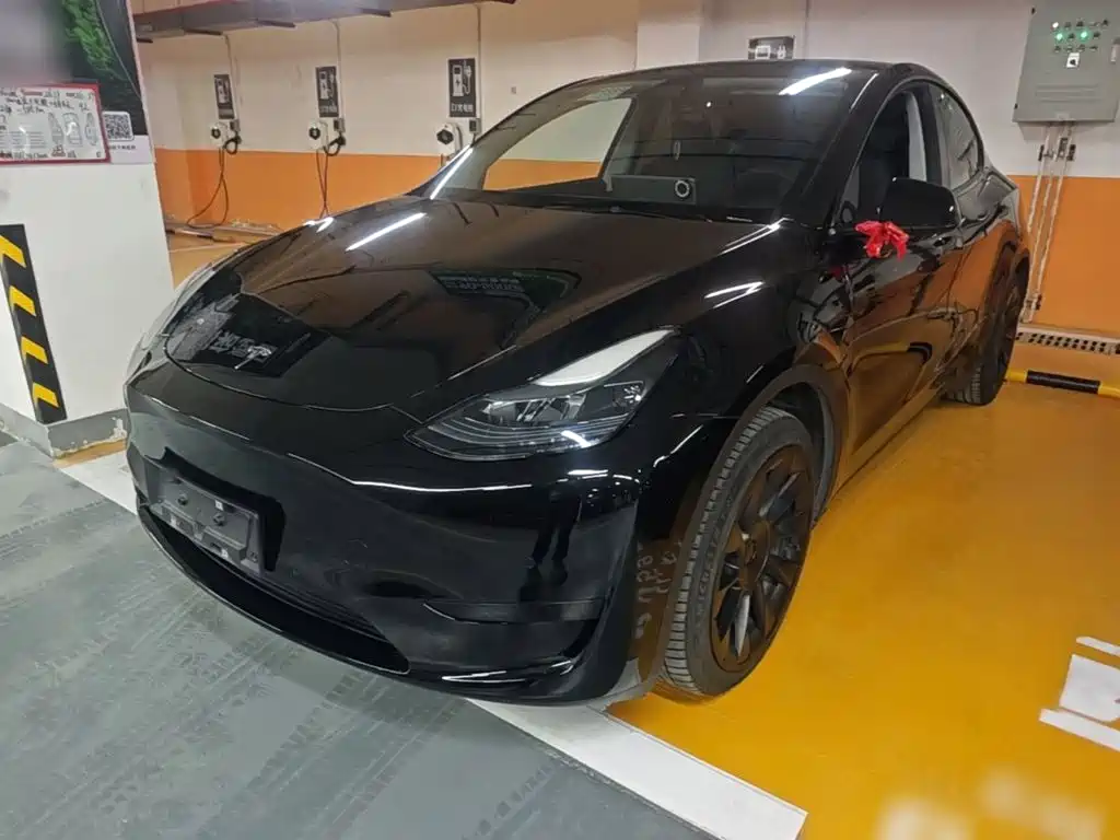 Tesla Model Y — фото 2