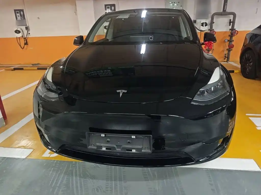 Tesla Model Y — фото 3