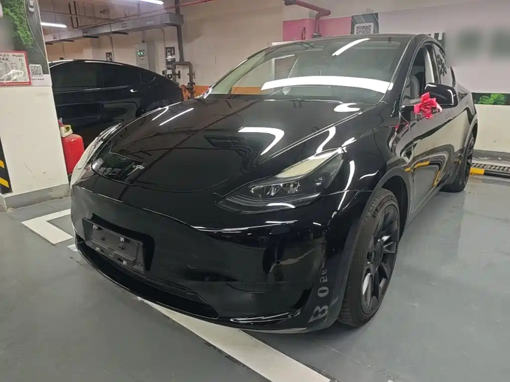 Tesla Model Y — фото 2