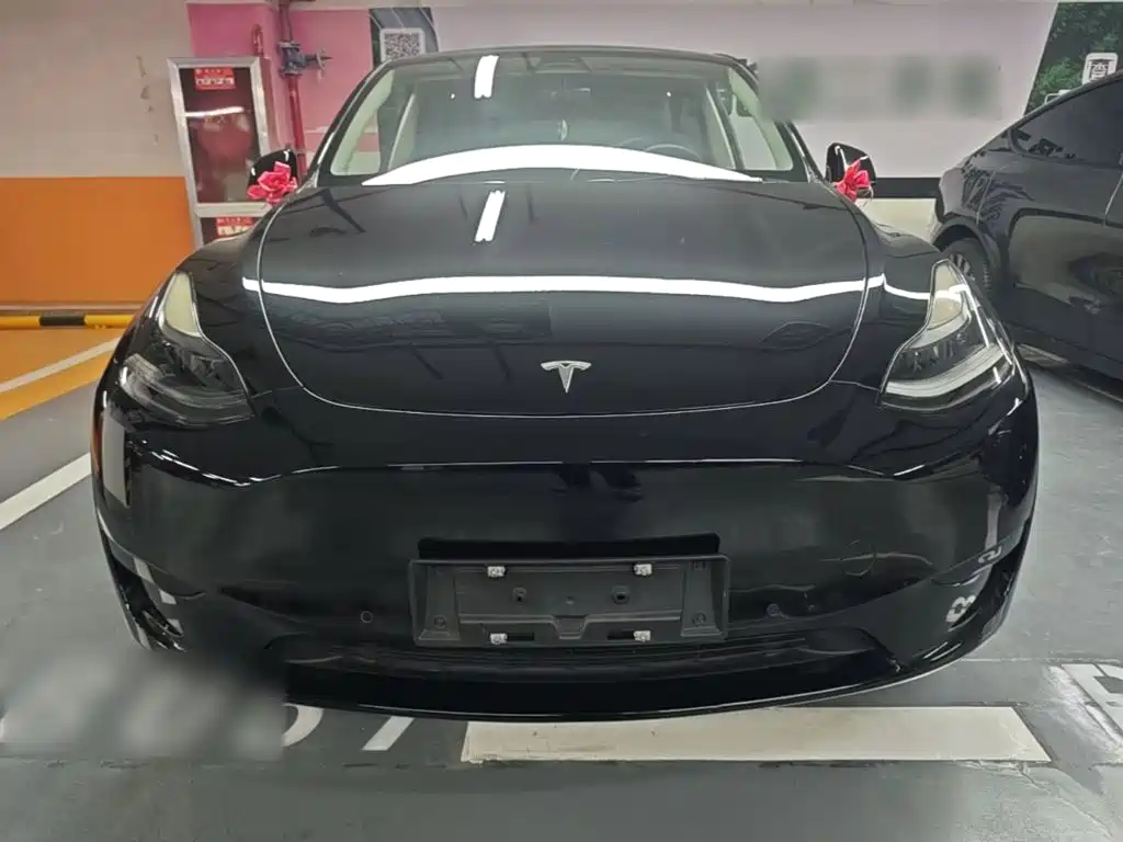 Tesla Model Y — фото 3