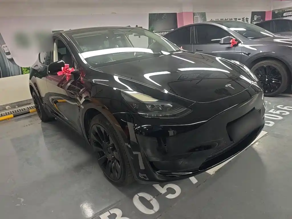 Tesla Model Y — фото 4