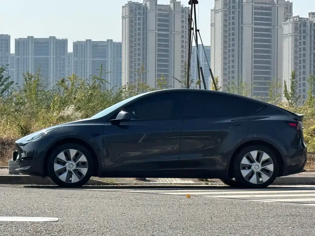 Tesla Model Y — фото 3