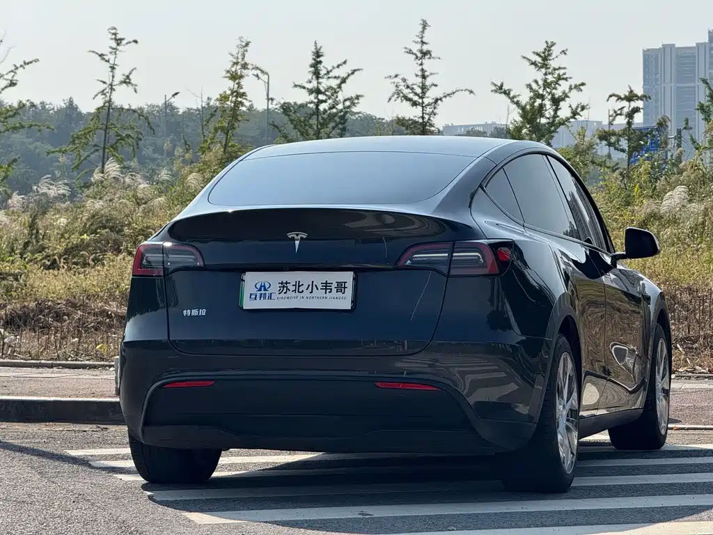 Tesla Model Y — фото 4
