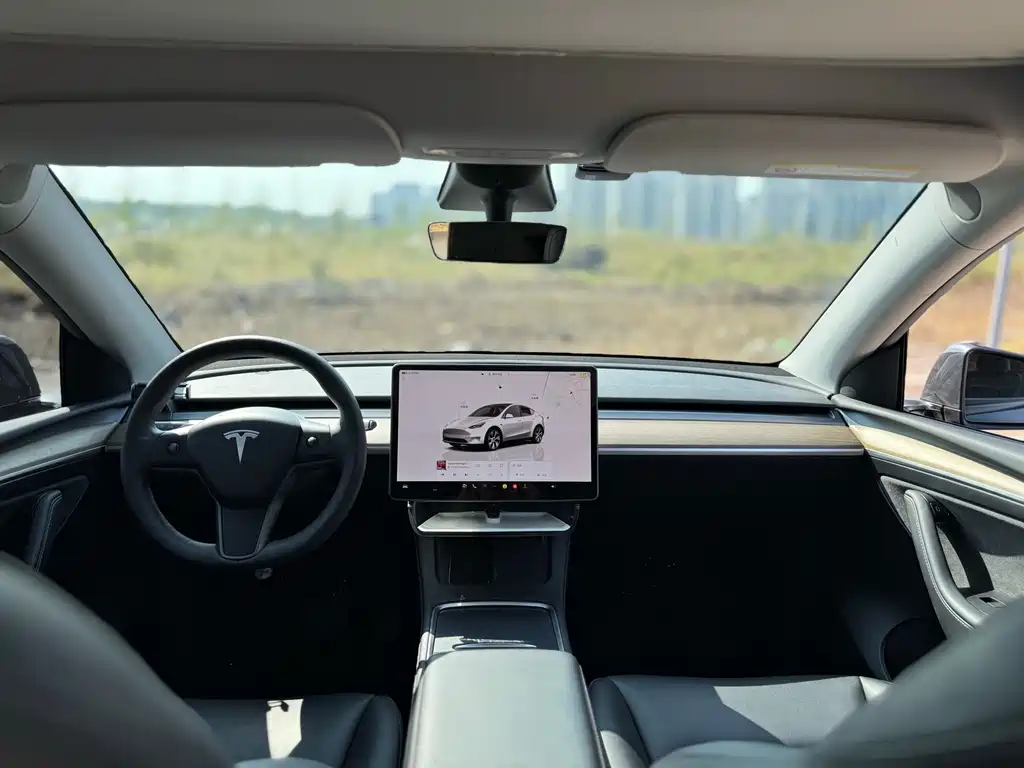 Tesla Model Y — фото 8