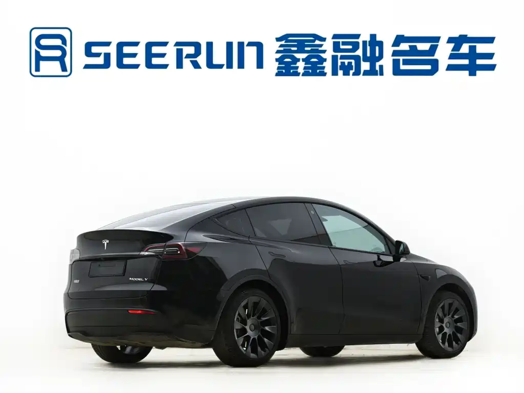 Tesla Model Y — фото 11
