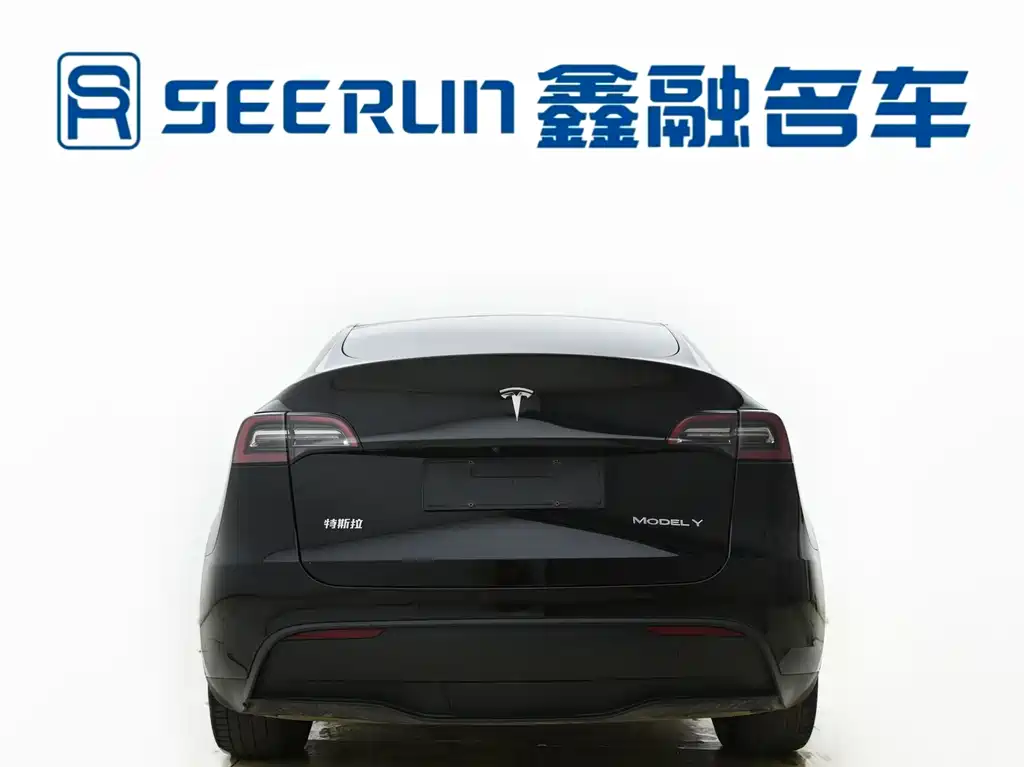 Tesla Model Y — фото 13