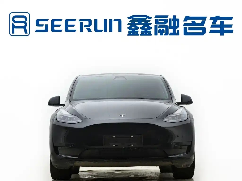 Tesla Model Y — фото 14