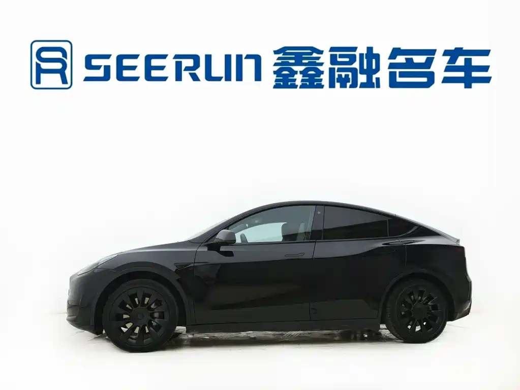 Tesla Model Y — фото 15