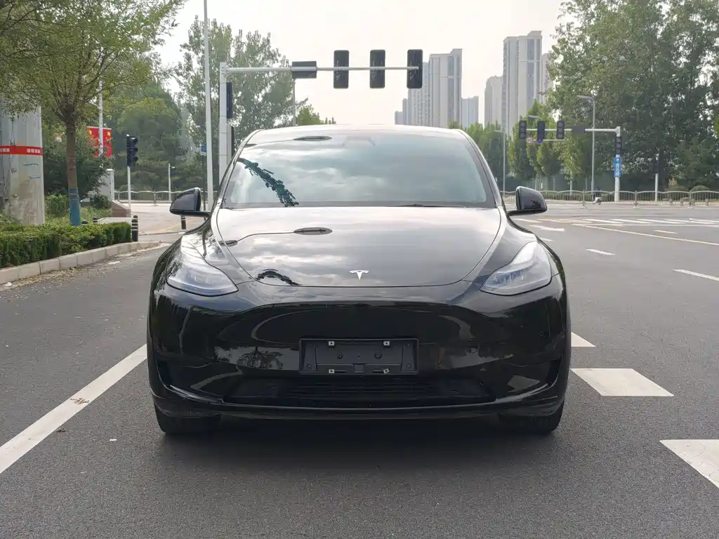 Tesla Model Y — фото 17