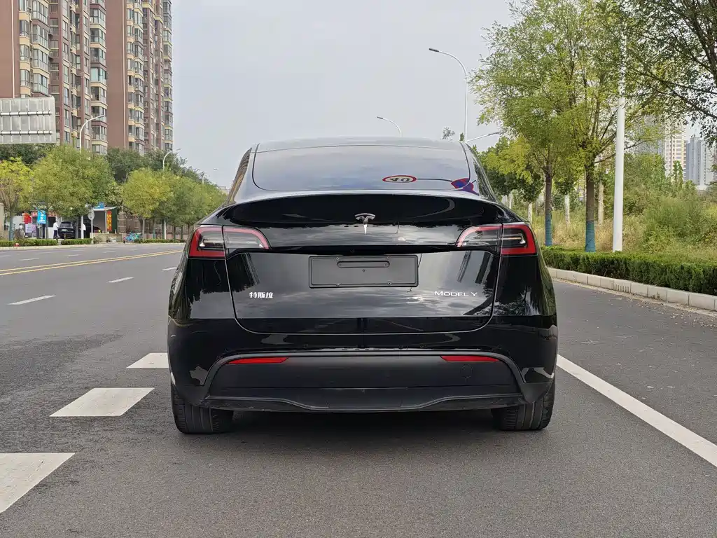 Tesla Model Y — фото 18