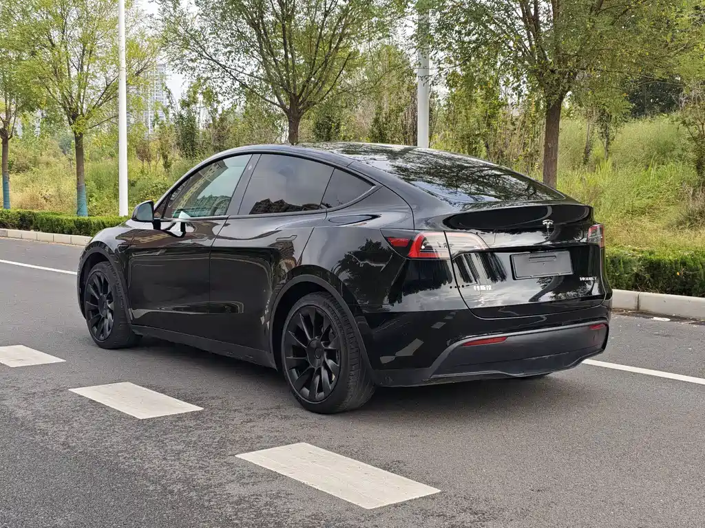 Tesla Model Y — фото 19