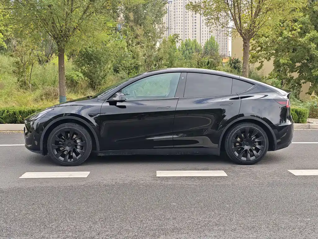 Tesla Model Y — фото 20