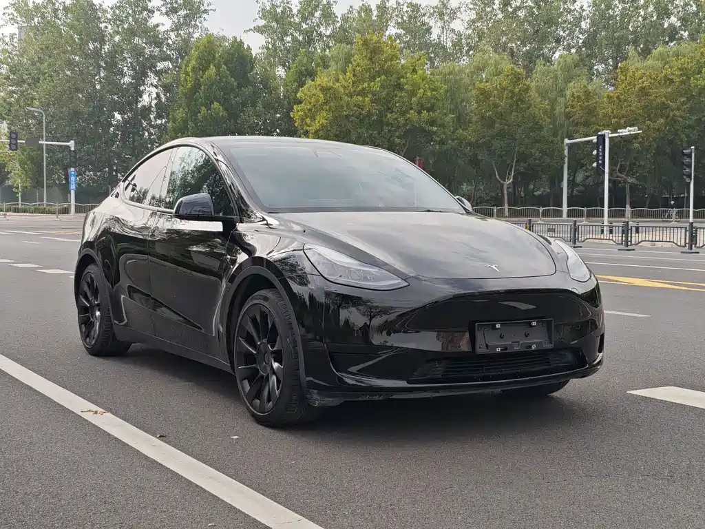 Tesla Model Y — фото 26