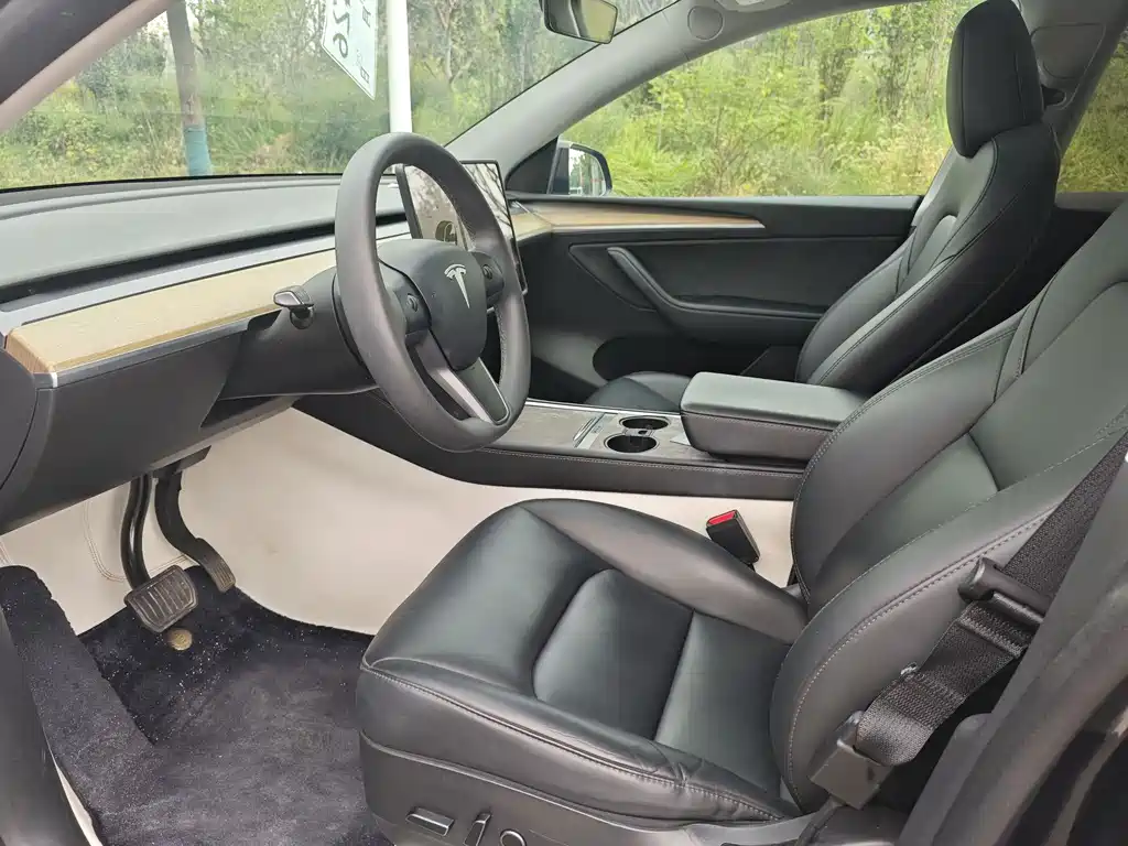 Tesla Model Y — фото 31
