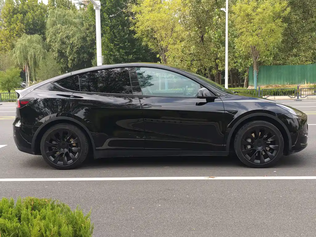 Tesla Model Y — фото 35