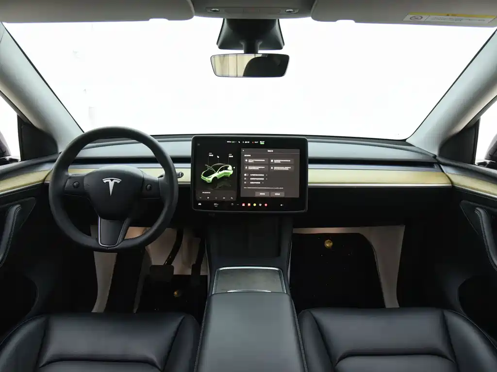 Tesla Model Y — фото 5