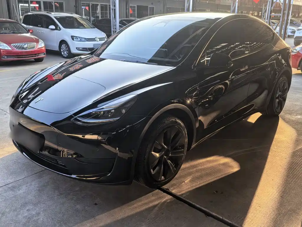 Tesla Model Y — фото 2
