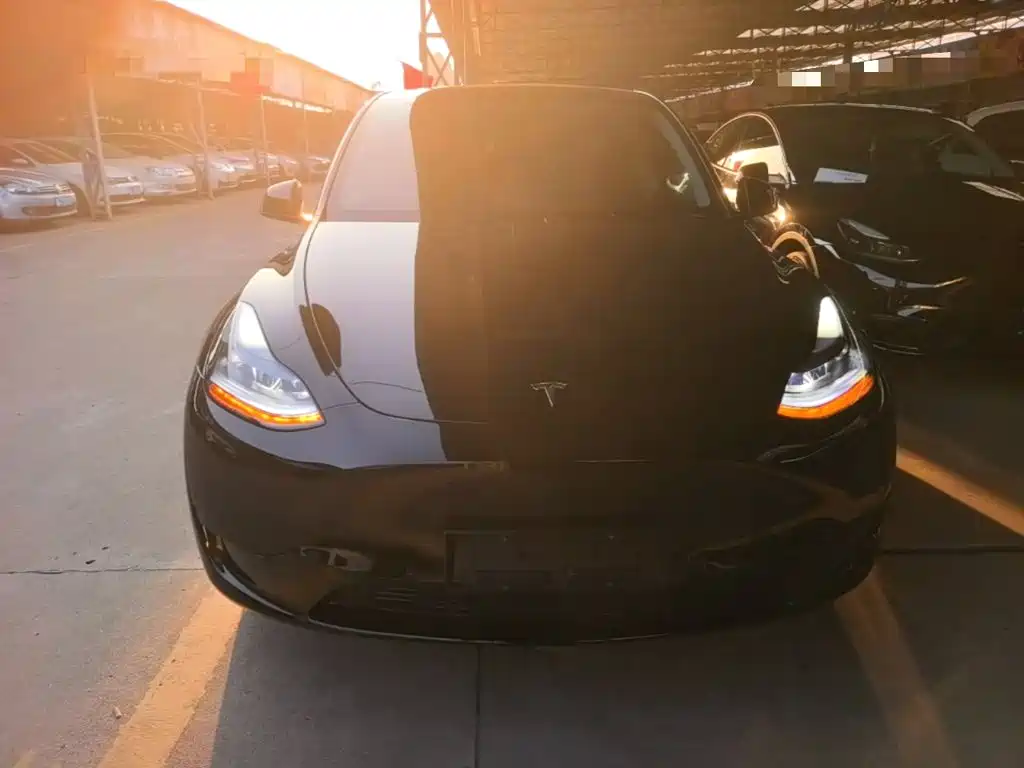 Tesla Model Y — фото 3