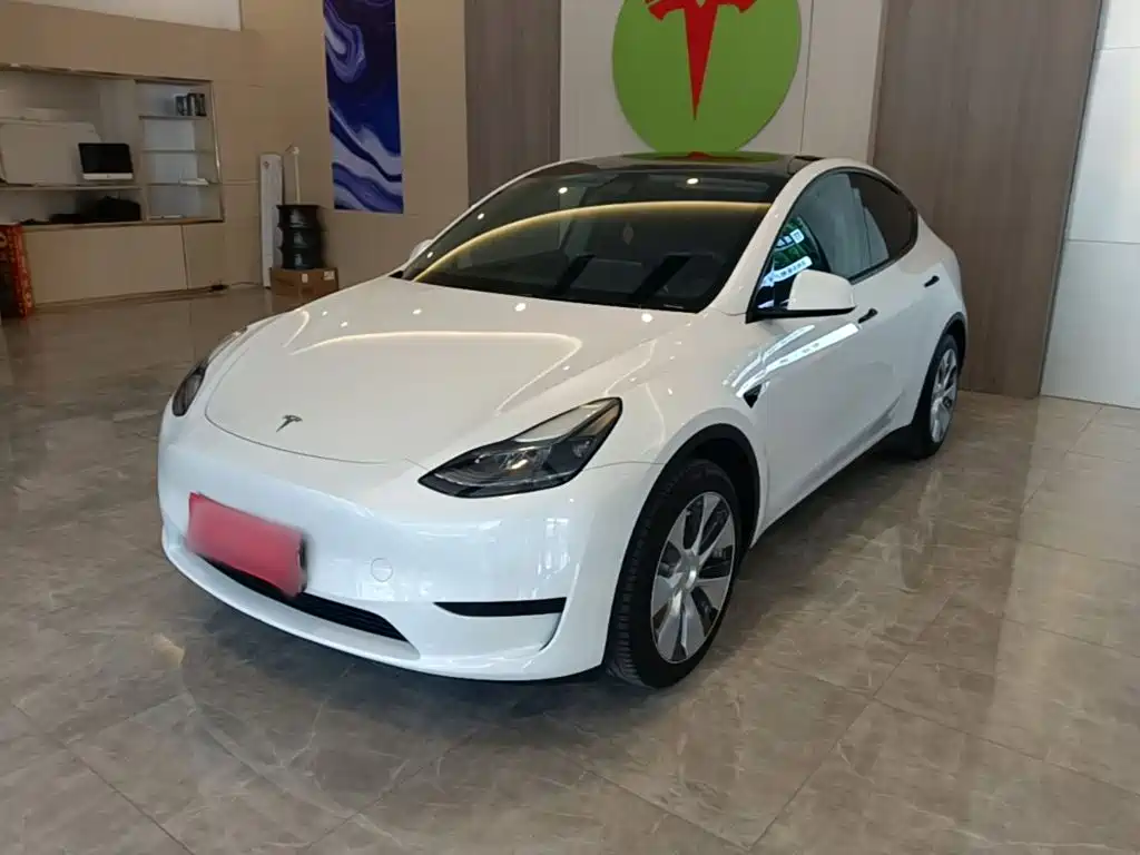 Tesla Model Y — фото 2
