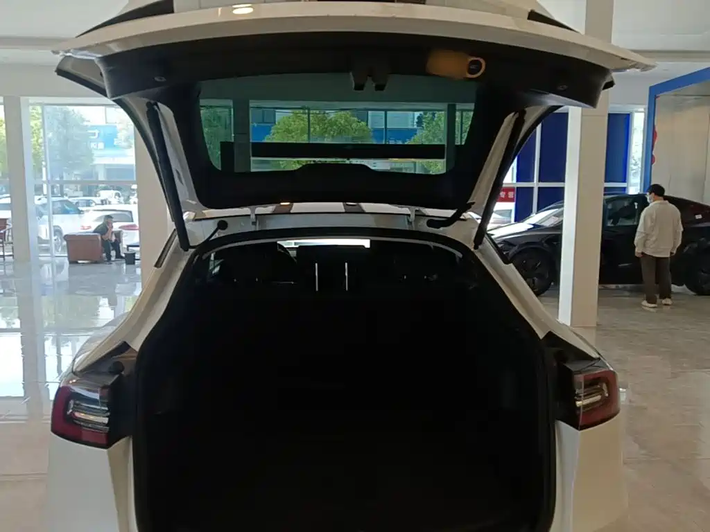 Tesla Model Y — фото 19