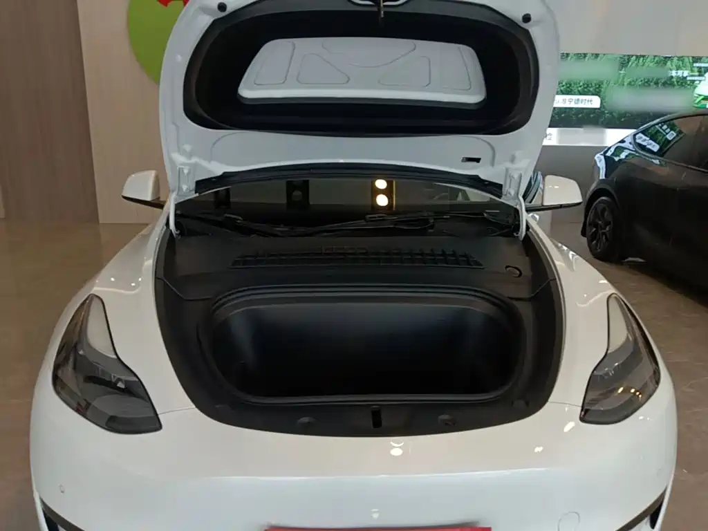Tesla Model Y — фото 20