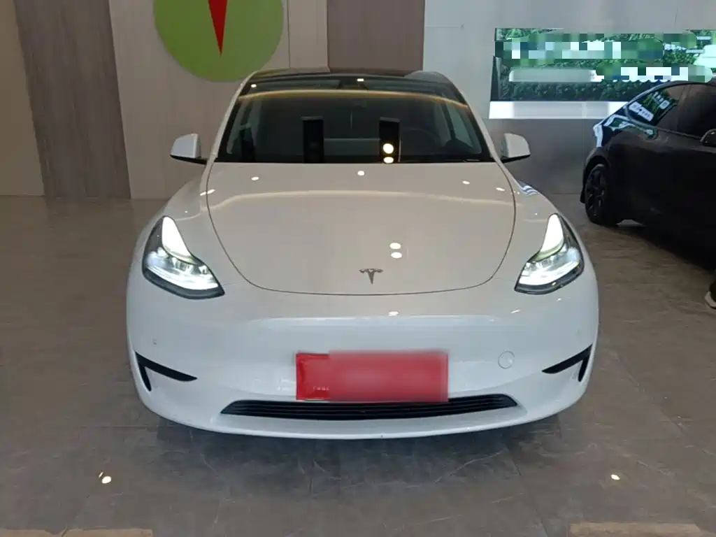 Tesla Model Y — фото 3