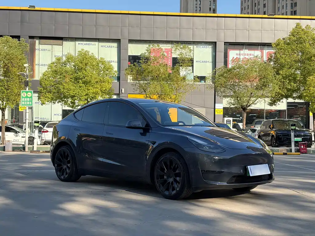 Tesla Model Y — фото 3