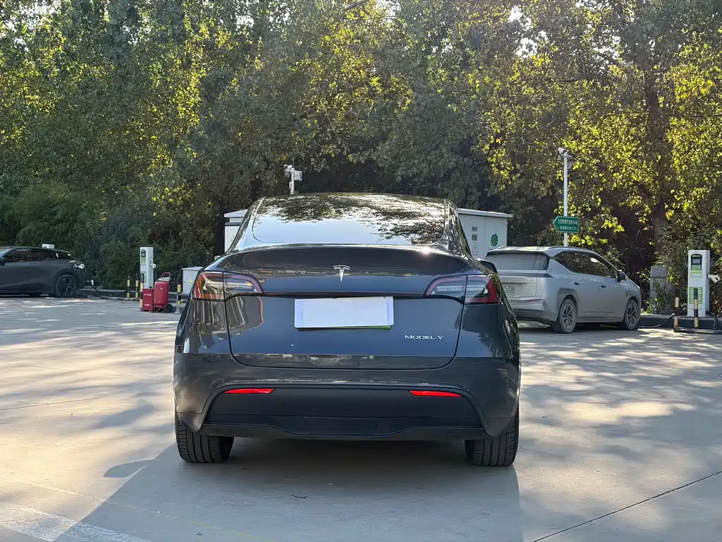 Tesla Model Y — фото 4