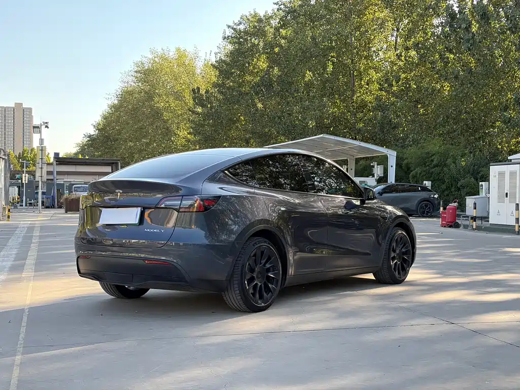 Tesla Model Y — фото 5