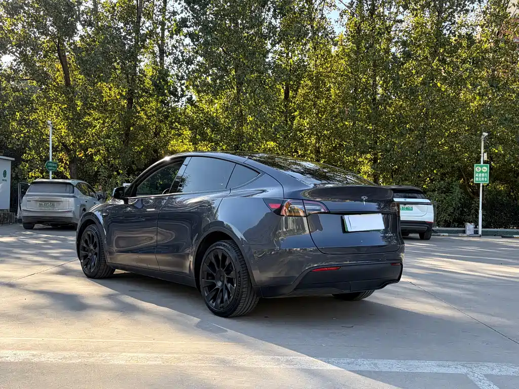 Tesla Model Y — фото 6