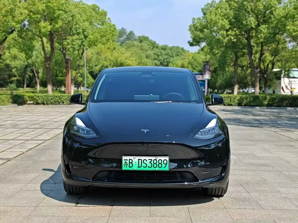 Tesla Model Y — фото 2